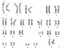Karyogram of ESI-017 at passage 20 displays a normal karyotype (46, XX).