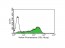 Flow Cytometry analysis of SSEA-1 Antibody on mouse ES cells at a 1:100 dilution. Green  histogram represents SSEA-1 Antibody and open histogram represents isotype control.