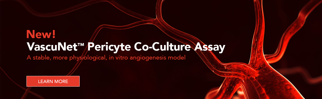 New! VascuNet Pericyte Co-Culture Assay